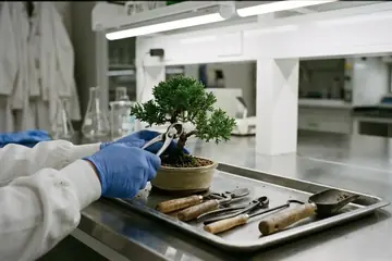 5 Essential Tools Every Bonsai Beginner Needs
