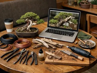 Bonsai wiring on pine branch